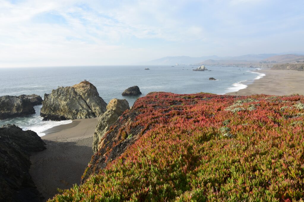 חופי קליפורניה - איזה יופי של חוף ים