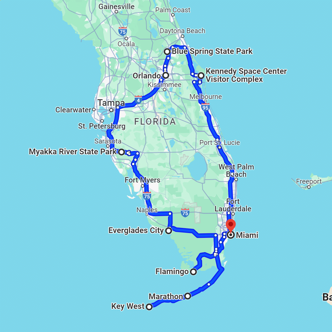 מיאמי מעגלי 15